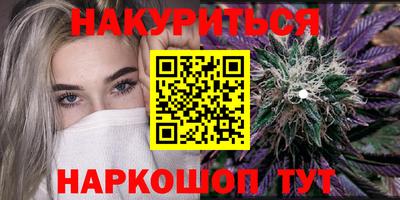 гашик Бийск