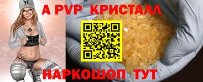 гашик Бийск