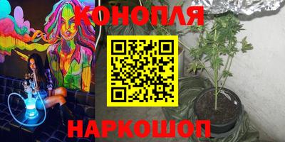 гашик Бийск