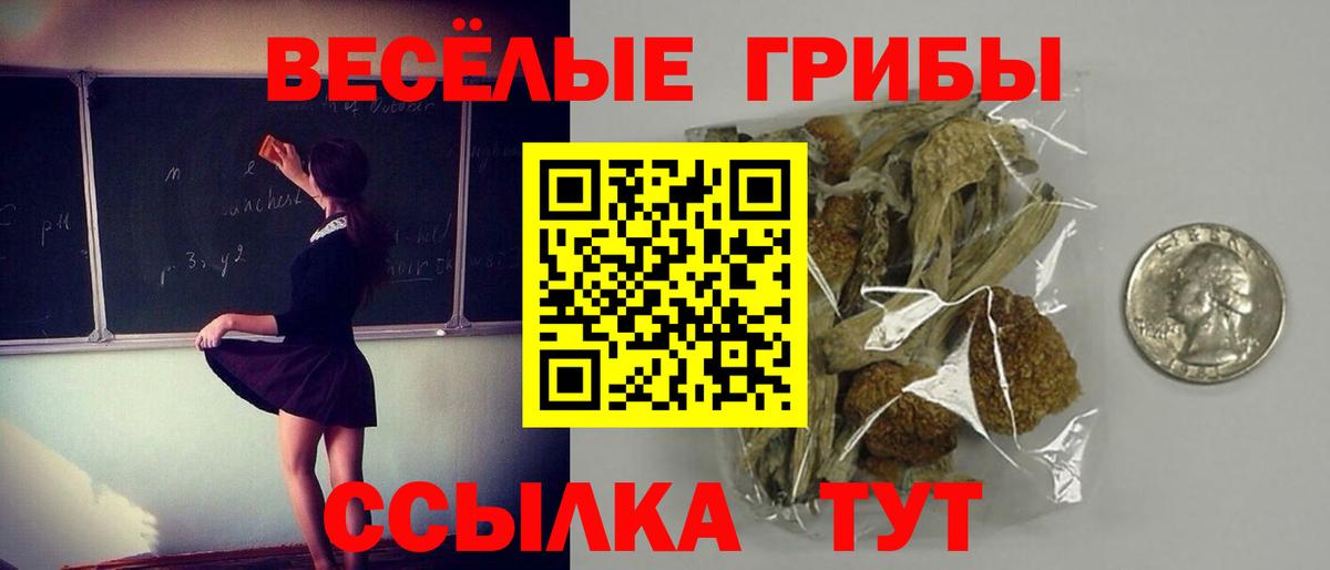 Псилоцибиновые грибы Psilocybe  Вход с VPN  Кирово-Чепецк 